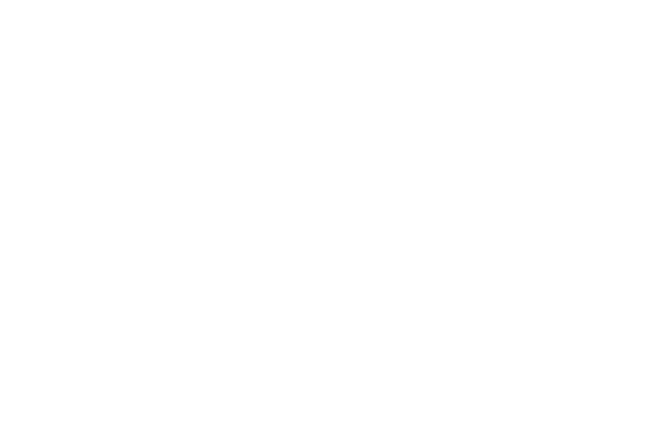DTI- primary logo3
